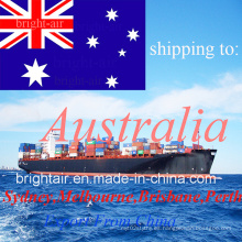 Proveedor de logística Ocean Sea Freight Cargo Shipping Forwarder de China a Australia